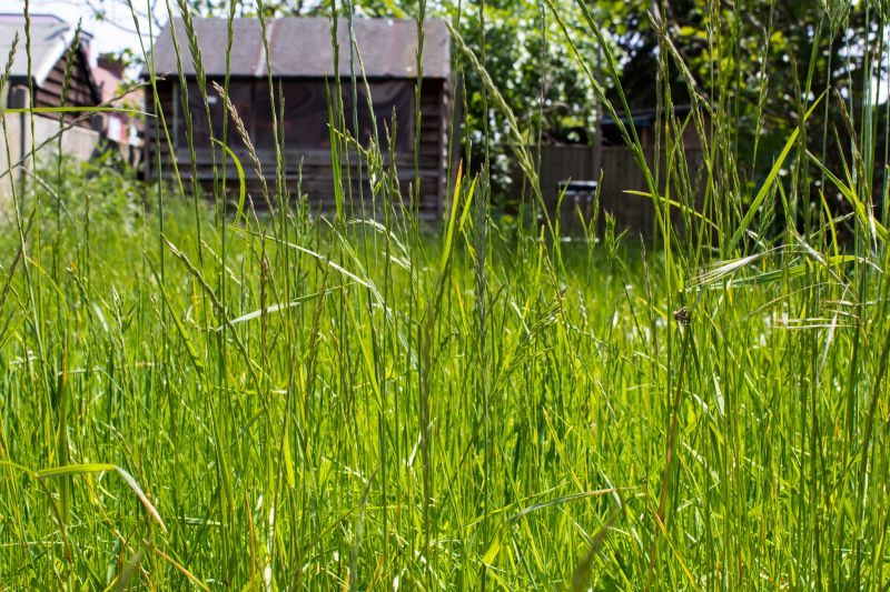 Yard Flattening