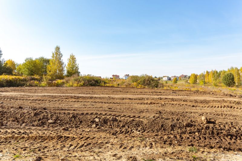 Land Clearing in Houston, TX