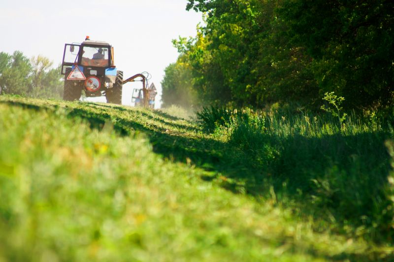 Land Preparation Service in Katy, TX