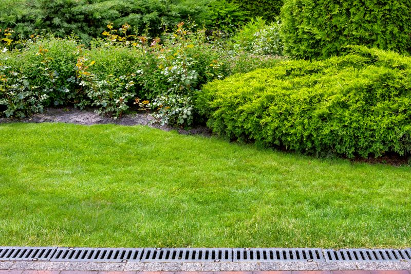 Residential Yard Slope